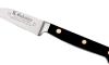 Oriental Paring Knife